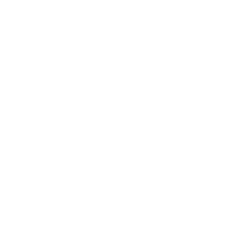 500x500 motsepe