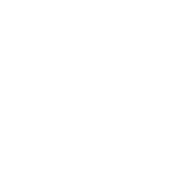 500x500 santam